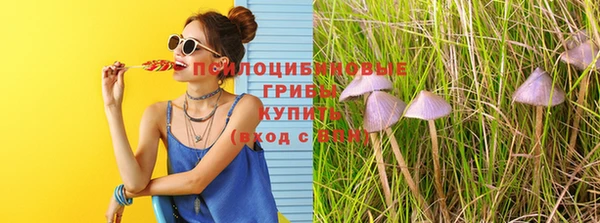 СК Горняк