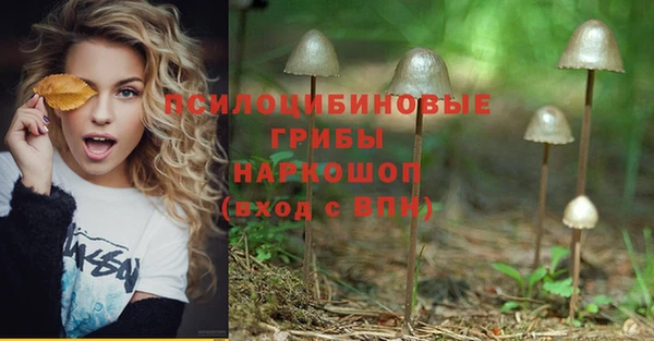 мяу мяу мука Вязники