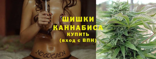 стафф Горнозаводск