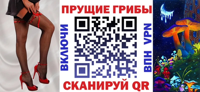 Псилоцибиновые грибы Psilocybine cubensis  Зерноград 